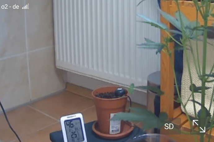 Screenshot_20240525-161656