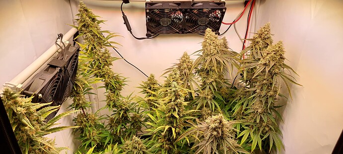 Growreport Bild 6
