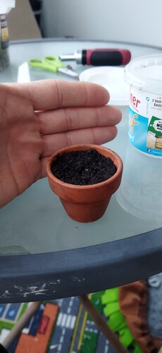 Growreport Bild 34