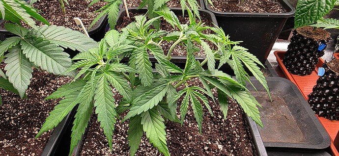 Growreport Bild 20