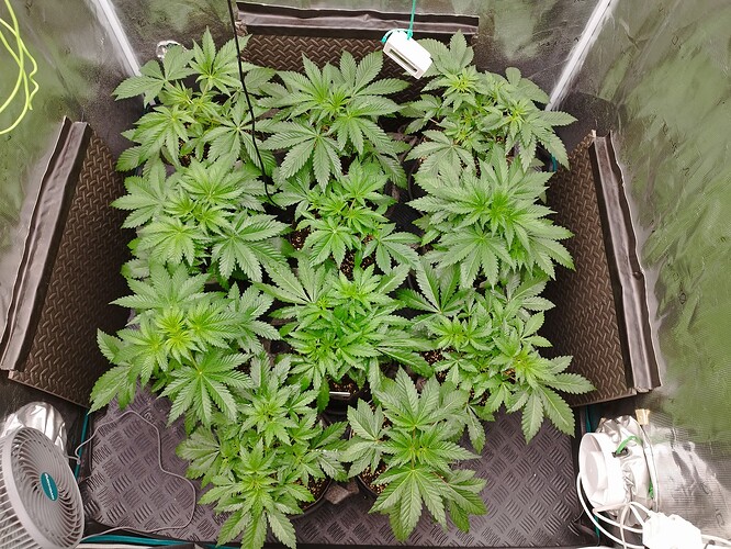 Growreport Bild 7