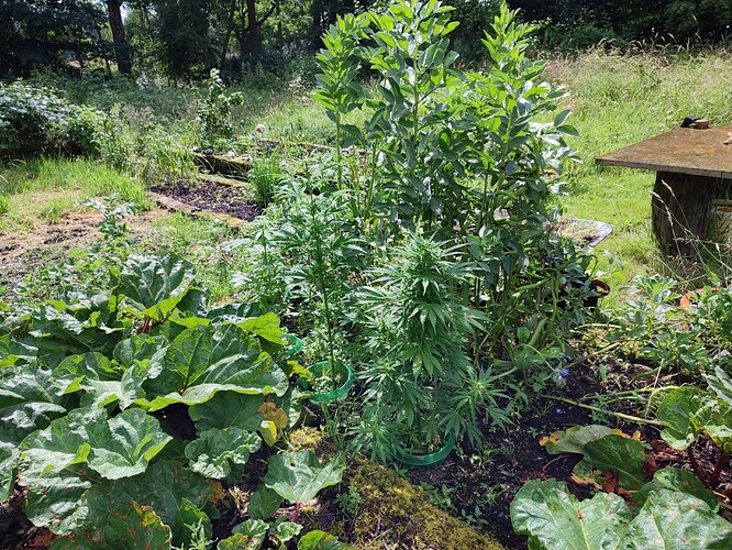 Growreport Bild 15