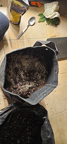Growreport Bild 51