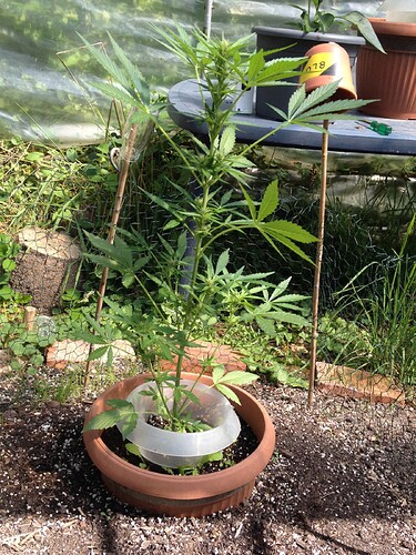 Growreport Bild 2