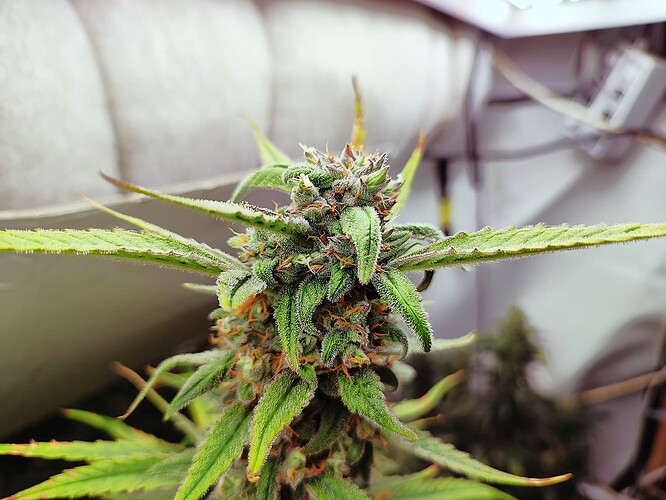 Growreport Bild 23