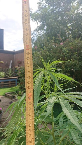Growreport Bild 24