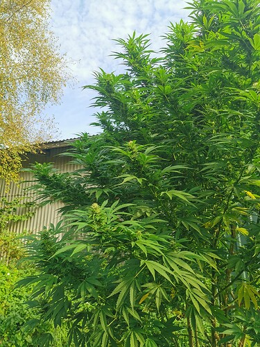 Growreport Bild 10
