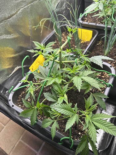 Growreport Bild 7