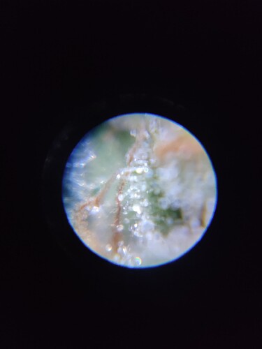 Growreport Bild 23