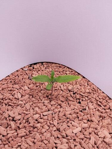 Growreport Bild 2
