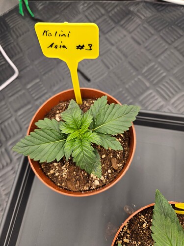 Growreport Bild 23