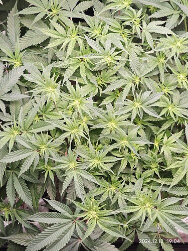 Growreport Bild 23