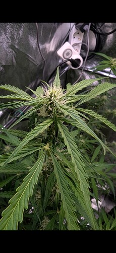 Screenshot_20241013-030444