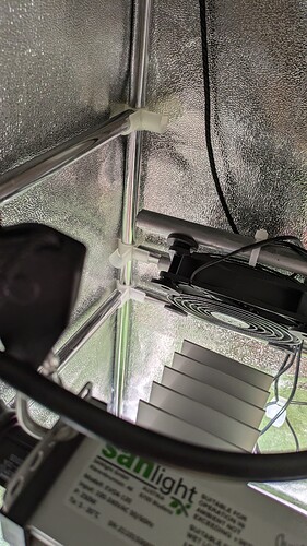 PXL_20240709_162913693