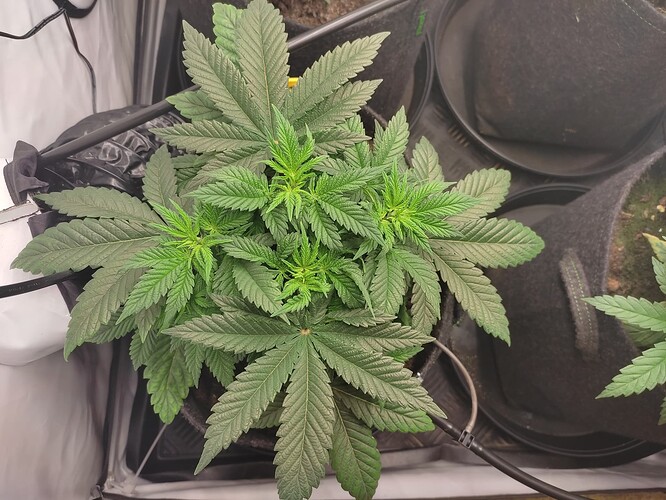 Growreport Bild 7