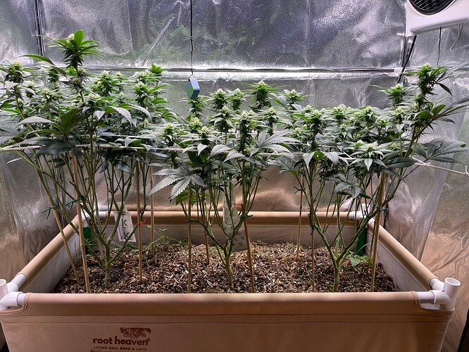 Growreport Bild 2