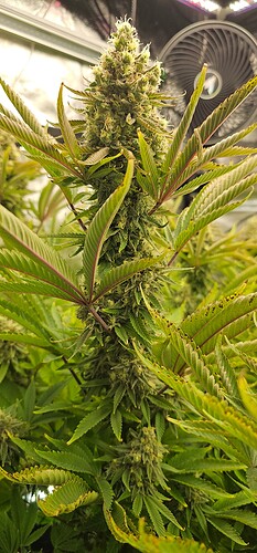 Growreport Bild 24