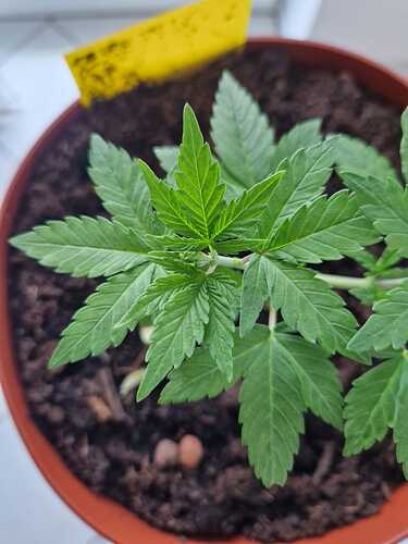 WhatsApp Image 2024-05-22 at 17.48.41