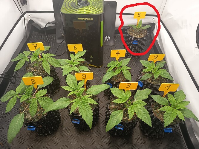 Growreport Bild 1