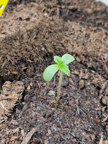 WhatsApp Image 2024-04-29 at 11.19.29