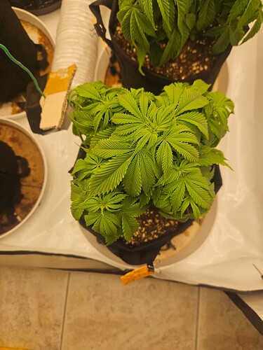 Growreport Bild 25