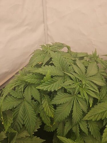 Growreport Bild 8