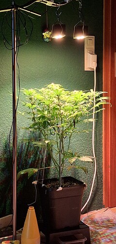 Growreport Bild 2