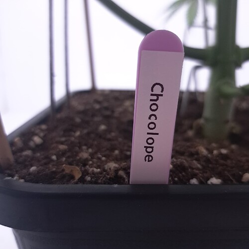 Growreport Bild 13