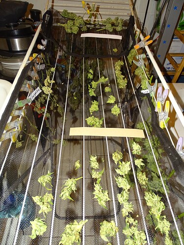 Growreport Bild 12