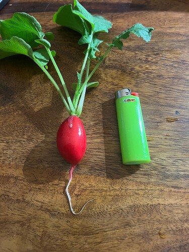 Growreport Bild 7