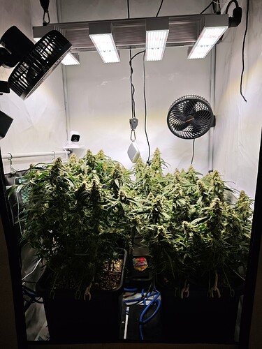 MVIMG_20251116_203604