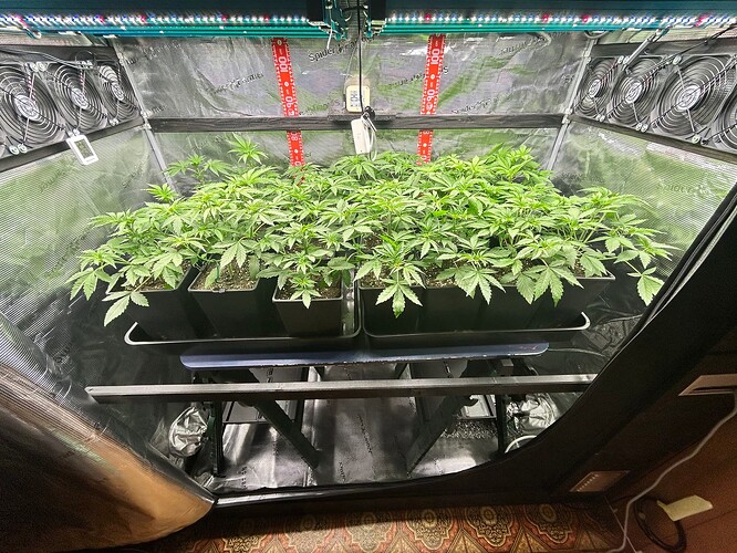 Growreport Bild 6