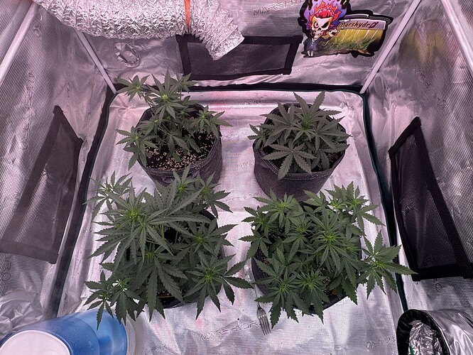 Growreport Bild 2