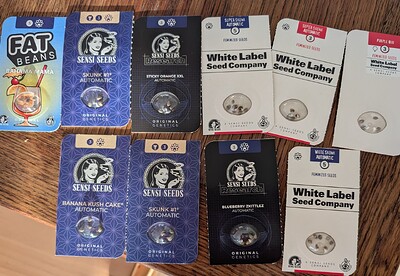 Zweiter Outdoorgrow mit Fat Beans StrawZ, Pineapple und Bahama Mama, Sensi Blueberry Skittlez, Caramellow Kush, Sticky Orange XXL und Super Skunk