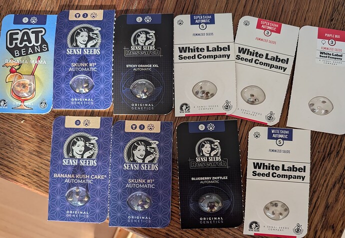 PXL_20241129_133429199