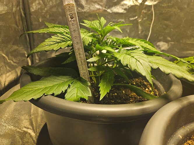 Growreport Bild 20