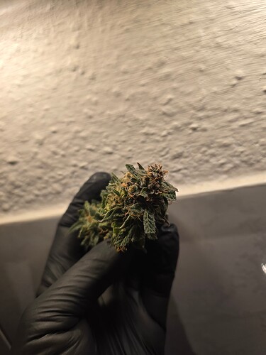 Growreport Bild 10
