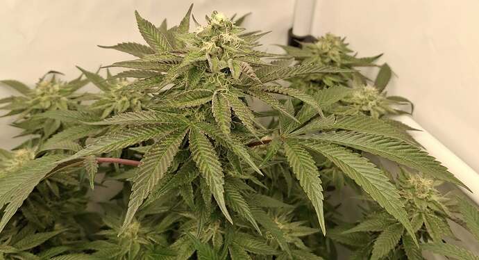 476378219_122167069850293599_3986668884314995026_n