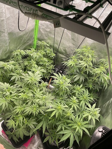 Growreport Bild 8