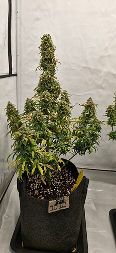 Growreport Bild 13