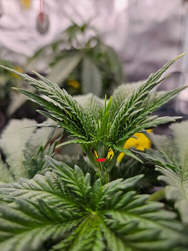 Growreport Bild 42