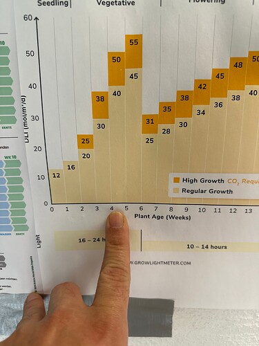 Growreport Bild 37