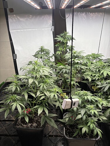 Growreport Bild 12