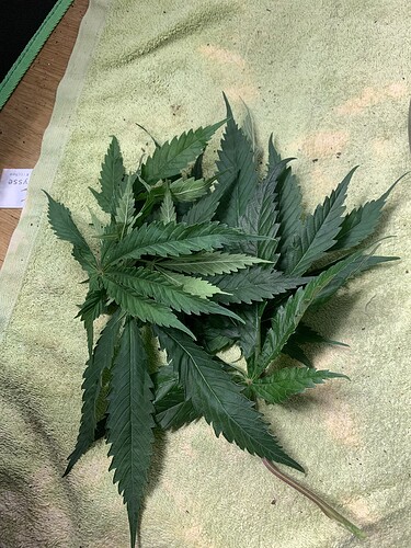 Growreport Bild 14