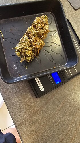 Growreport Bild 8
