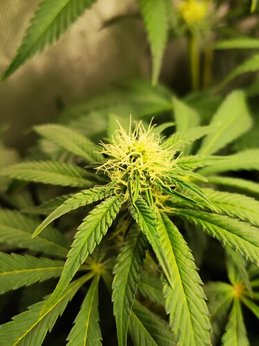 Growreport Bild 18