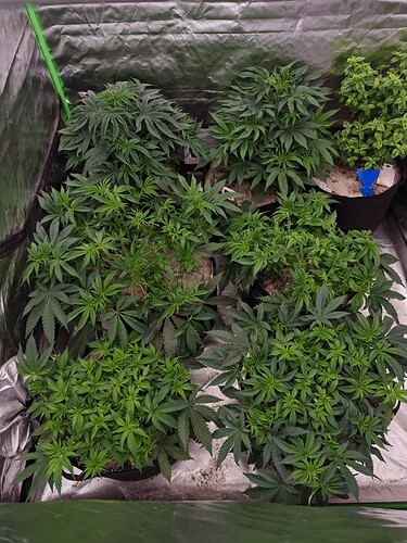 Growreport Bild 11