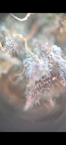 Growreport Bild 6