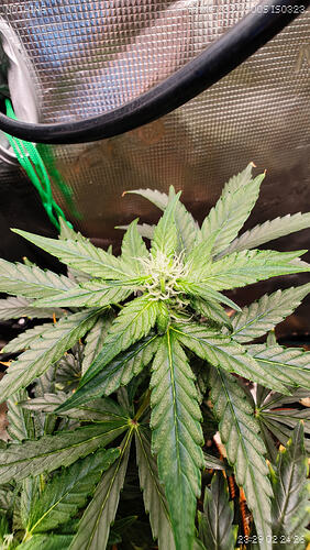 Growreport Bild 10