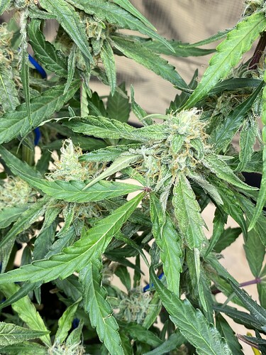 Growreport Bild 14